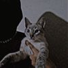 jonathxn_merlx
