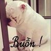 user1782862939245