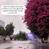 qsos8