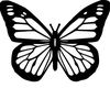 butterfliesloom