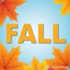 fall.doff.bi
