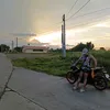 allantabing28