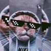 henrrydavid24