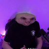 alan2772728822