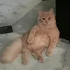 its_oyen_