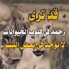 user6819383813487