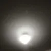 user7420199140033