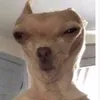 tukboki0