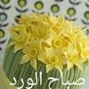 user1153313091531