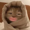 uuuuuuuuuuub2