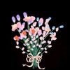 sofi_d232