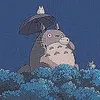 koko_o0415