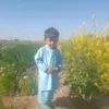 saddamshar4312