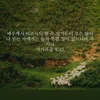 mg.kyaw3858