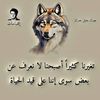 user3411503436732