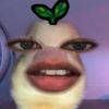 azurah004