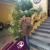 ngocan9666