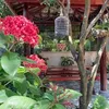 duc.toan.nguyen8
