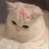 hnging646