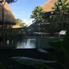 _mensreaaa44_
