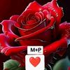 akter.parvin54