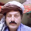 gulmohammad168