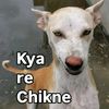 x_botinwa