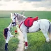 raniaranouch052