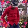 alon2781