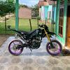 afdanzalfi30
