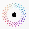 Apple Guy