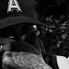 the_trom2405