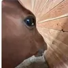 techodelamina.89
