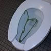 imawetcoathanger