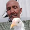 vava.20226