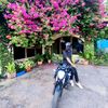 ridoyxhowdhury321