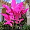 ninamaceda516