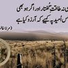 sherry.imran7890