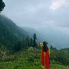 sehrishnaveed42