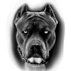 colwdown29