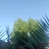 user341cmn4fyj