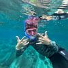 archerf15