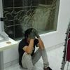 ariel.frits