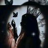 butterfly5..3