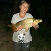 elena863368