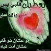 🌺ابن احفاد الملوك 🦅🕊🦅🌺