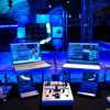 kill.net17
