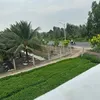 thidieuhiennguye2