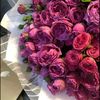 user1956949718063