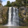 desi_kiwis_in_newzealand